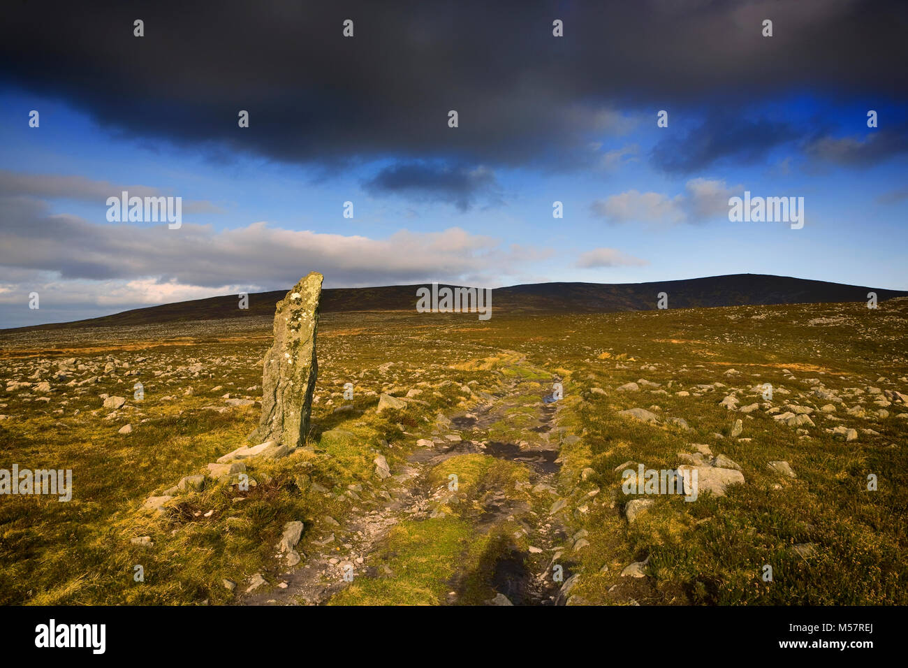 Treenearla aka piedra Menhir permanente al lado de una pista fuera de las montañas Monavullagh Mauma Pass, en el condado de Waterford, Irlanda. Foto de stock