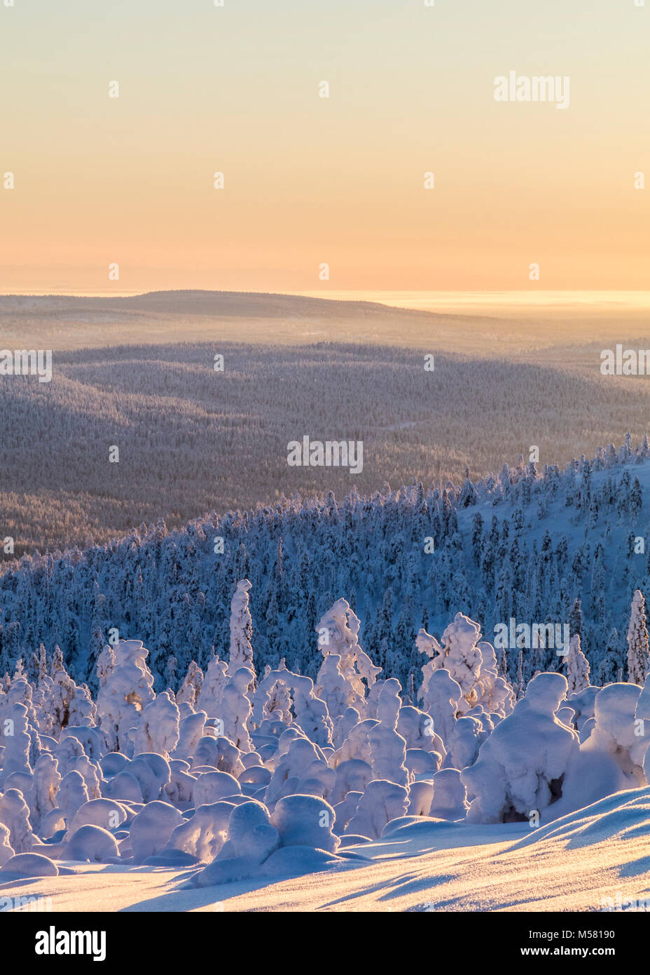 Snowy páramos en Finlandia Foto de stock
