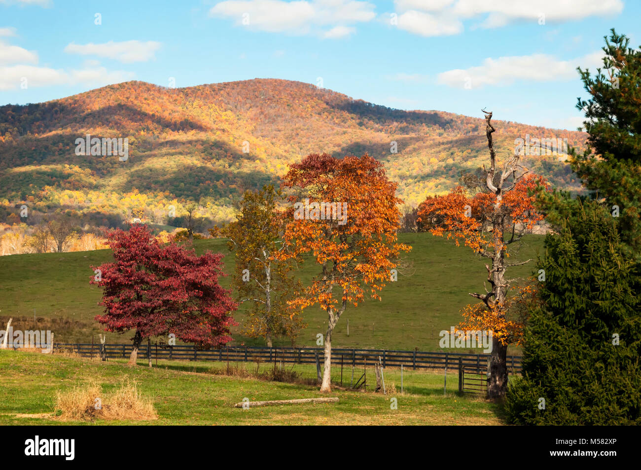 El Paisaje de otoño de Virginia Foto de stock
