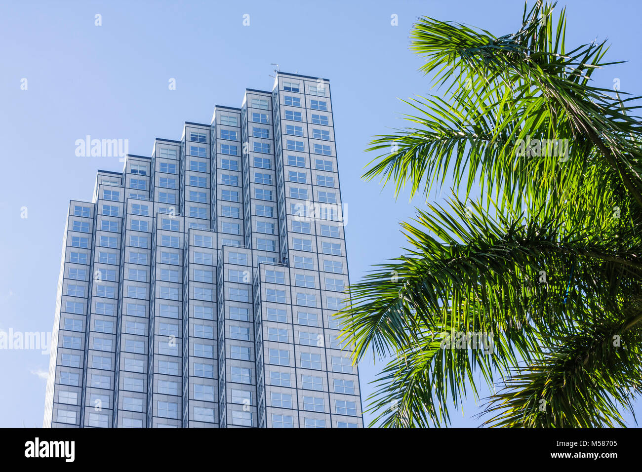 Miami Florida, Biscayne Boulevard, Centro Financiero del Sureste, Sureste, centro, rascacielos de gran altura edificios edificios edificio de oficinas, palma Foto de stock