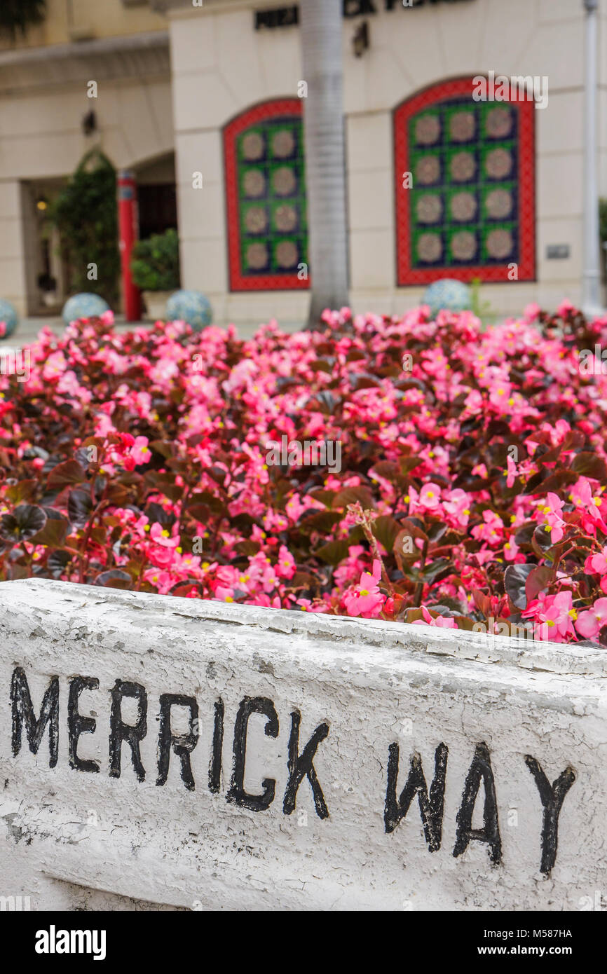 Miami Florida, Coral Gables, Merrick Way, letrero de calle, flores, visitantes viajes turísticos turismo puntos de referencia cultura cultural,v Foto de stock