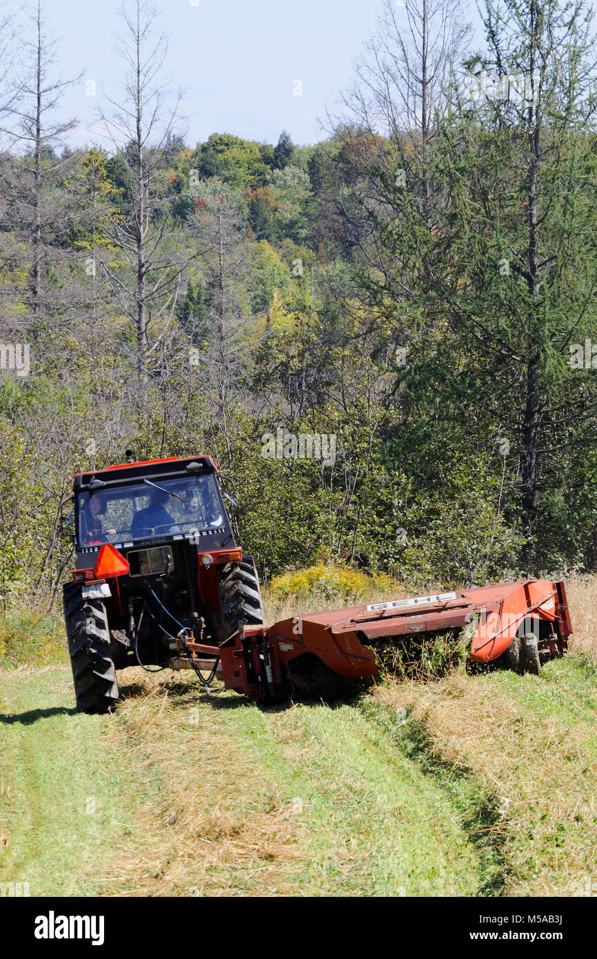 Quebec, Canadá. Tractor agrícola de cosecha de grano de corte Foto de stock