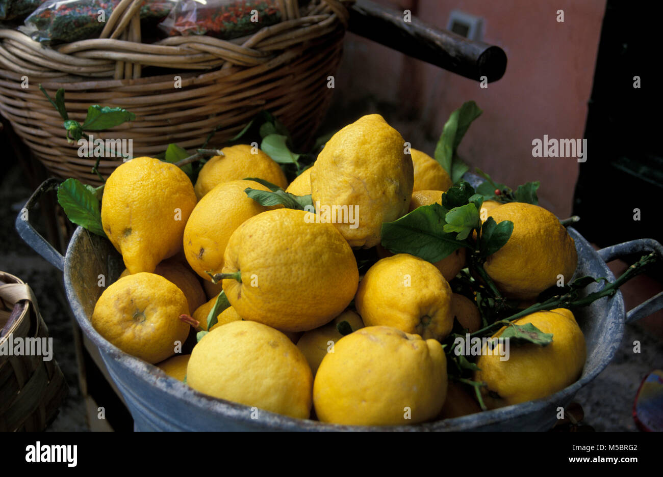 Zitronenverkauf, isla ischia, Italia, Europa Foto de stock