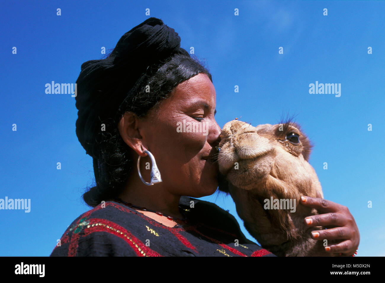 Níger, Talak cerca de Agadez. El desierto del Sahara. El aire de las montañas. Sahel. La gente de la tribu Tuareg. Mujer y joven camello. Foto de stock