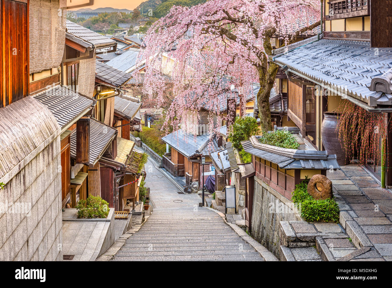 Kyoto, Japón primavera en Distrito Higashiyama. Foto de stock