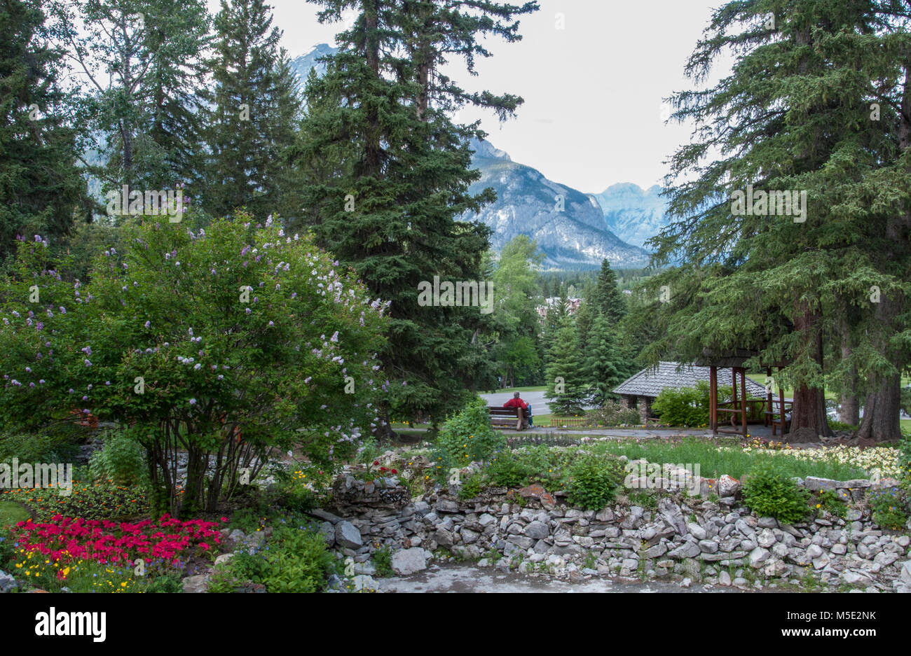 Jardín Cascade en Banff, Albereta, Canadá Foto de stock