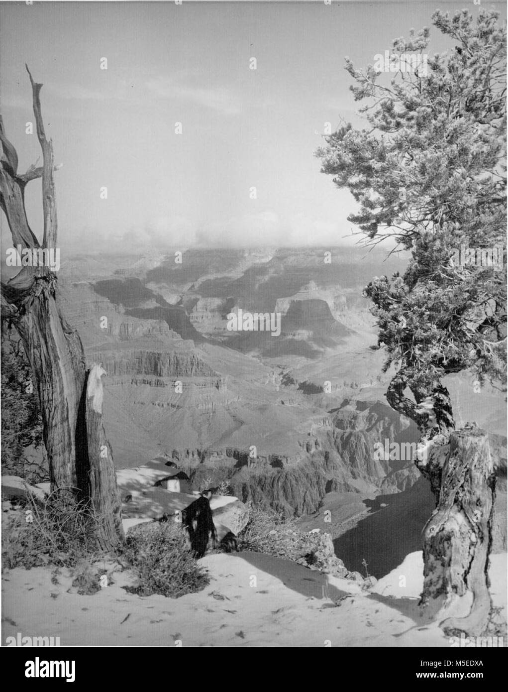 Grand Canyon Punto Hopi escena de nieve, el Borde Sur del Gran Cañón, desde RIM CORTA DISTANCIA AL ESTE DEL PUNTO Hopi. CIRCA 1953. Foto de stock