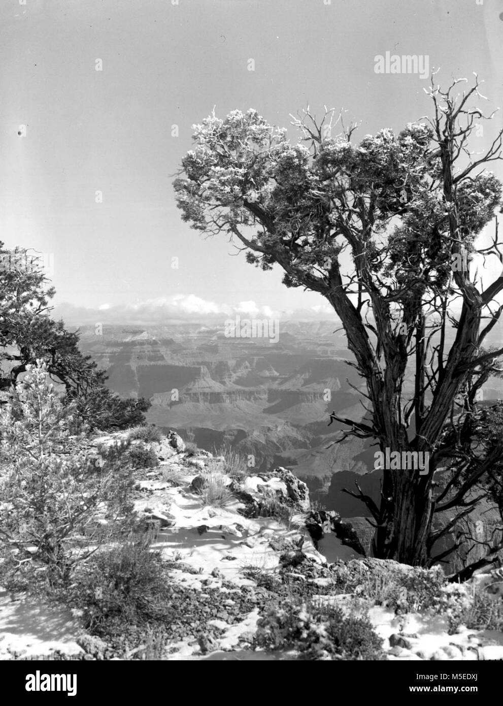 Grand Canyon Punto Hopi escena de nieve, el Borde Sur del Gran Cañón de RIM, Corta distancia al este del punto hopi. FEB. 27, 1953. Foto de stock