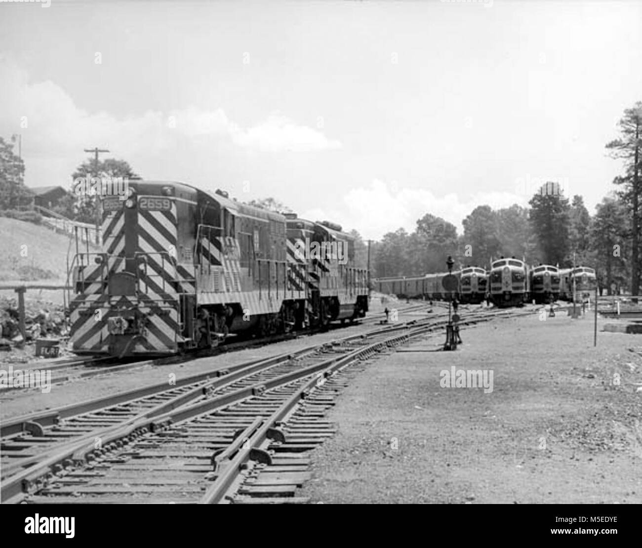 Grand Canyon Railroad Depot histórico mirando al oriente en el line-up del motor. Los Boy Scouts Jamboree- trenes especiales en el patio del almacén. De julio de 1953. , LEDING. Foto de stock