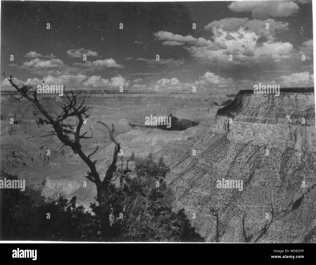 Grand Canyon HistoricTrail ver mirando al este desde cerca TRAILVIEW, WEST RIM UNIDAD. CIRCA 1954. . Foto de stock