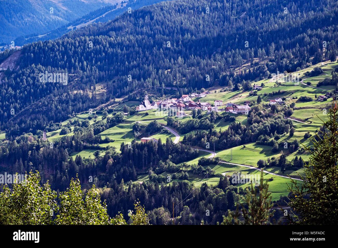 Pastos iluminados por el sol fotografías e imágenes de alta resolución