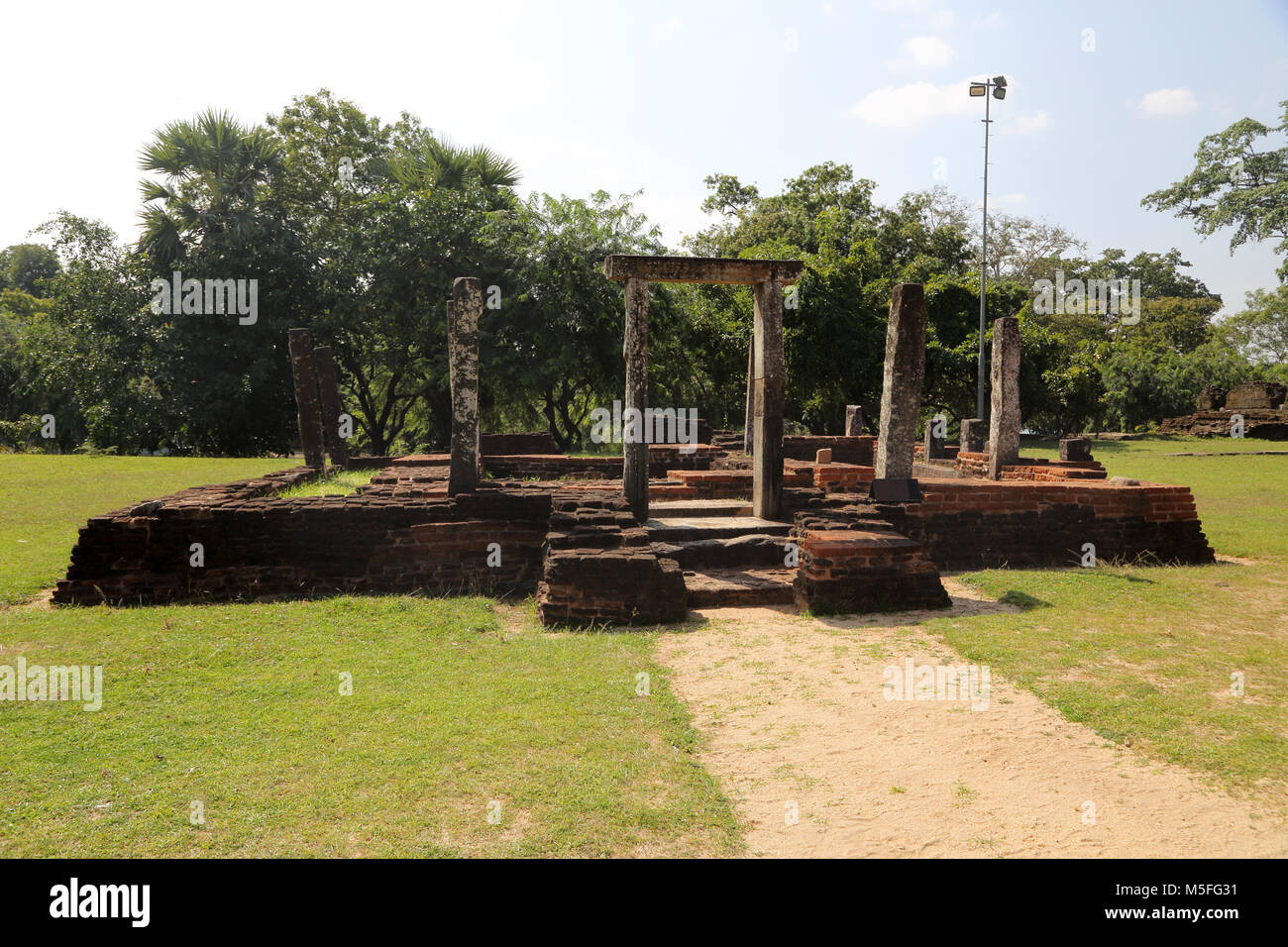 Polonnaruwa Quadrangle al norte y centro de la Provincia de Sri Lanka Alojamiento árbol Bo Foto de stock