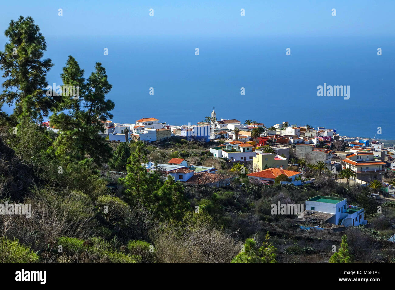 Chio tenerife fotografías e imágenes de alta resolución - Alamy