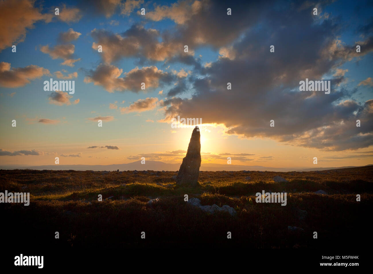 Treenearla aka piedra Menhir permanente al lado de una pista fuera de las montañas Monavullagh Mauma Pass, en el condado de Waterford, Irlanda. Foto de stock