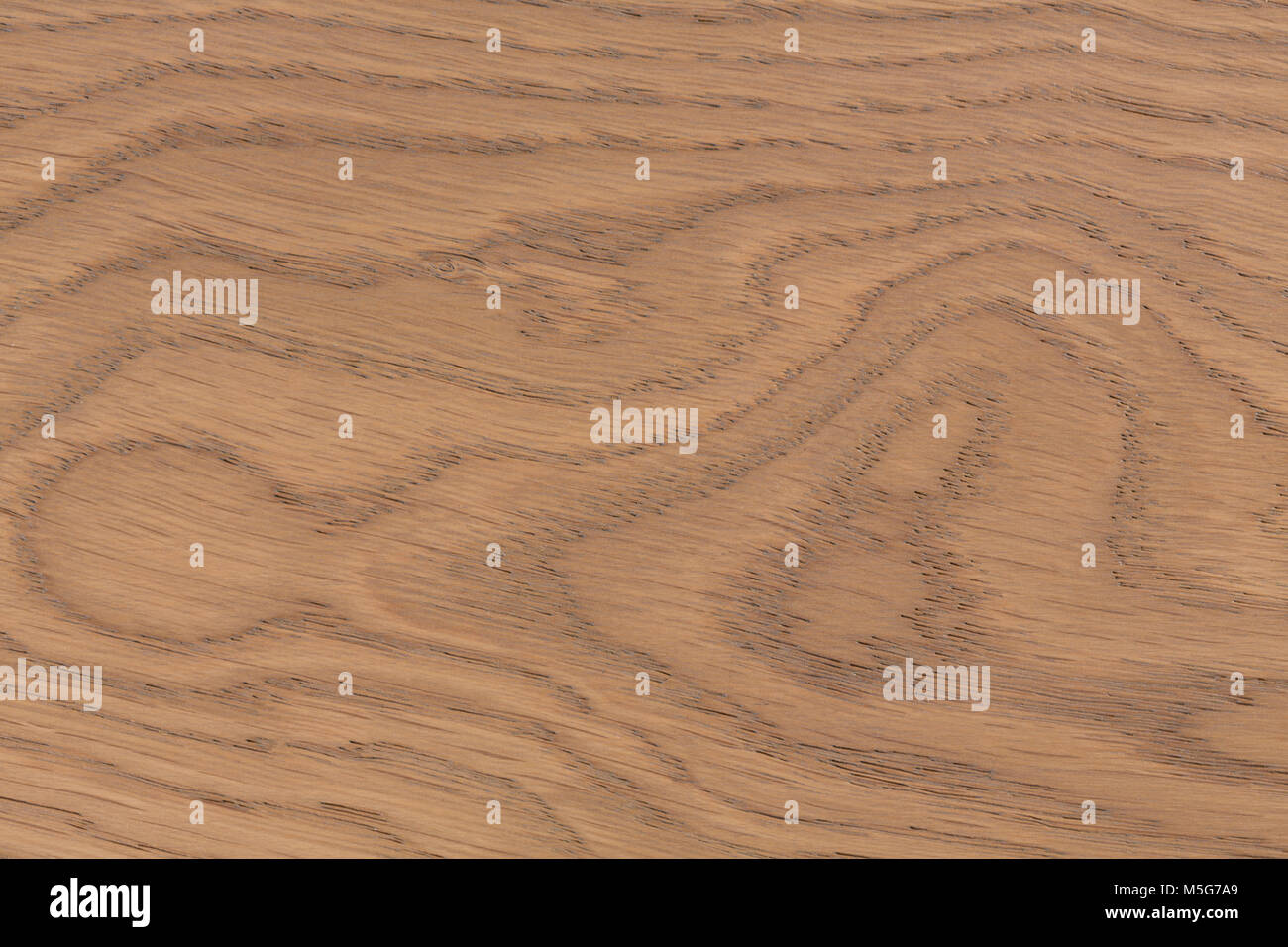 Placas de Revestimiento de pared. La trama de fondo de madera. Mostrando  los anillos de crecimiento. Foto de alta resolución Fotografía de stock -  Alamy