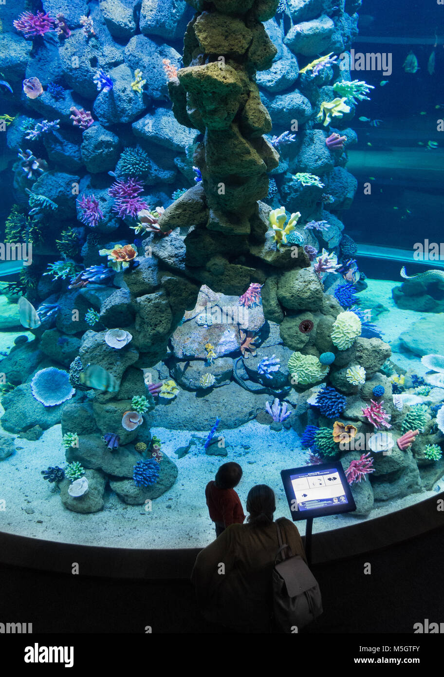 Poema del Mar, nuevo acuario en Las Palmas, Gran Canaria, Islas Canarias,  España Fotografía de stock - Alamy