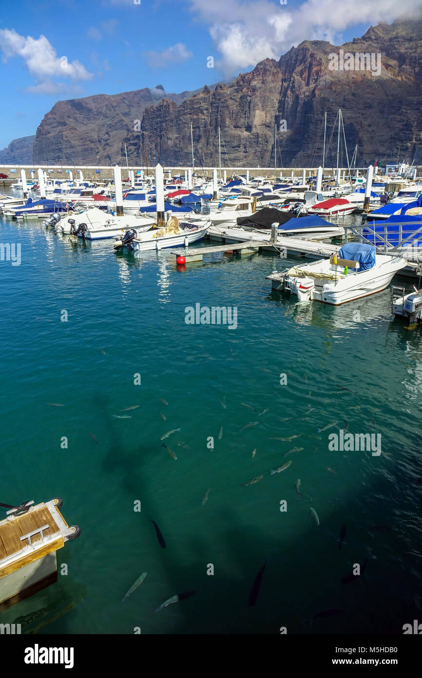 El puerto con los barcos, peces y enormes acantilados de Los Gigantes,  Tenerife, Islas Canarias, España Fotografía de stock - Alamy