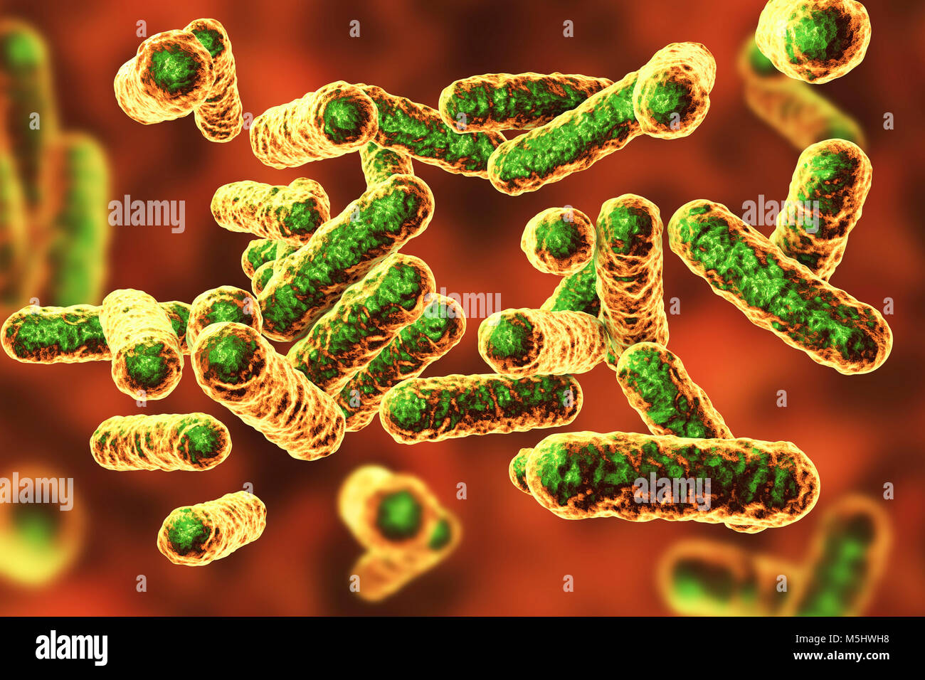 La bacteria Bartonella quintana, ilustración. Este es el agente causal de la fiebre de las trincheras, y antiguamente era conocida como Rochalimaea bacterias. Foto de stock