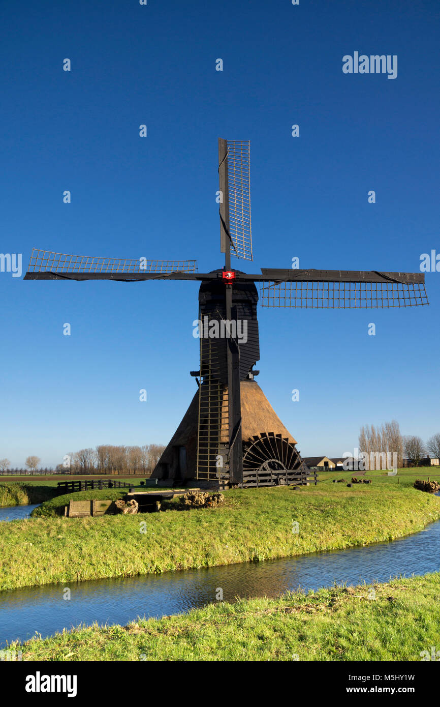 El molino de viento Noordeveldse cerca del pueblo holandés Dussen con un claro cielo de fondo azul Foto de stock