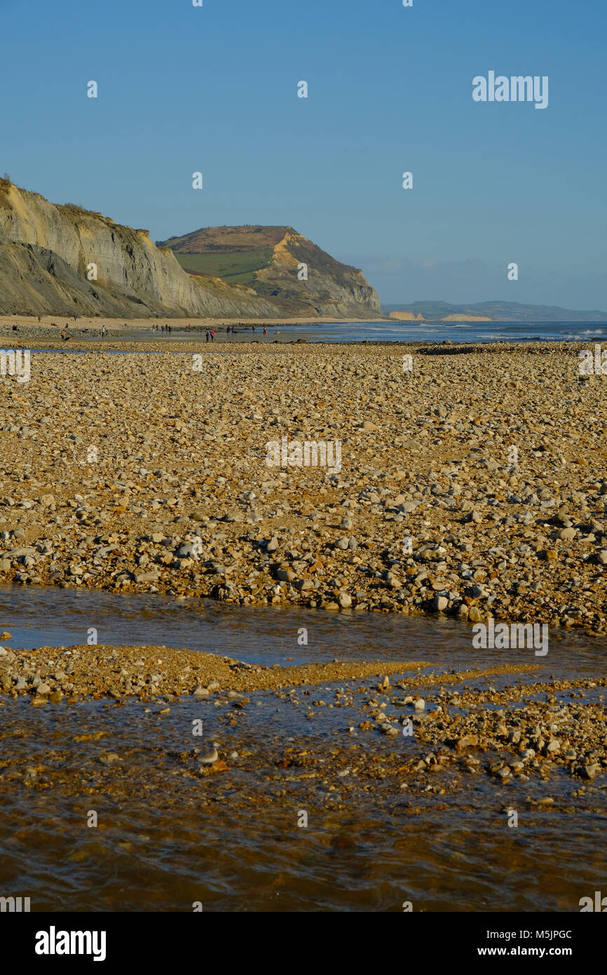 Charmouth Beach con un tapón de oro distante acantilados Foto de stock