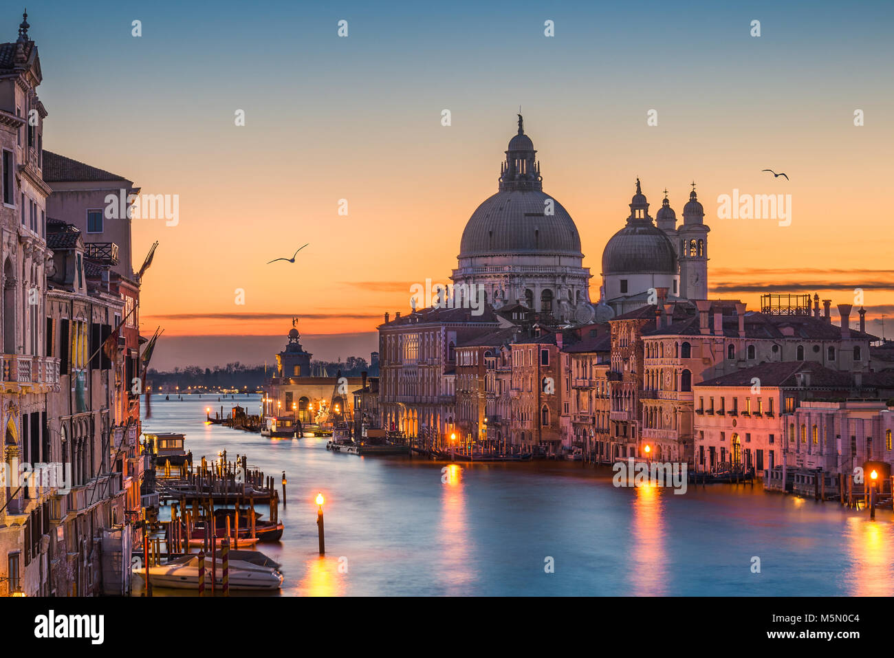 Grand Canal por la noche con la Basílica de Santa Maria della Salute, Venecia, Italia Foto de stock