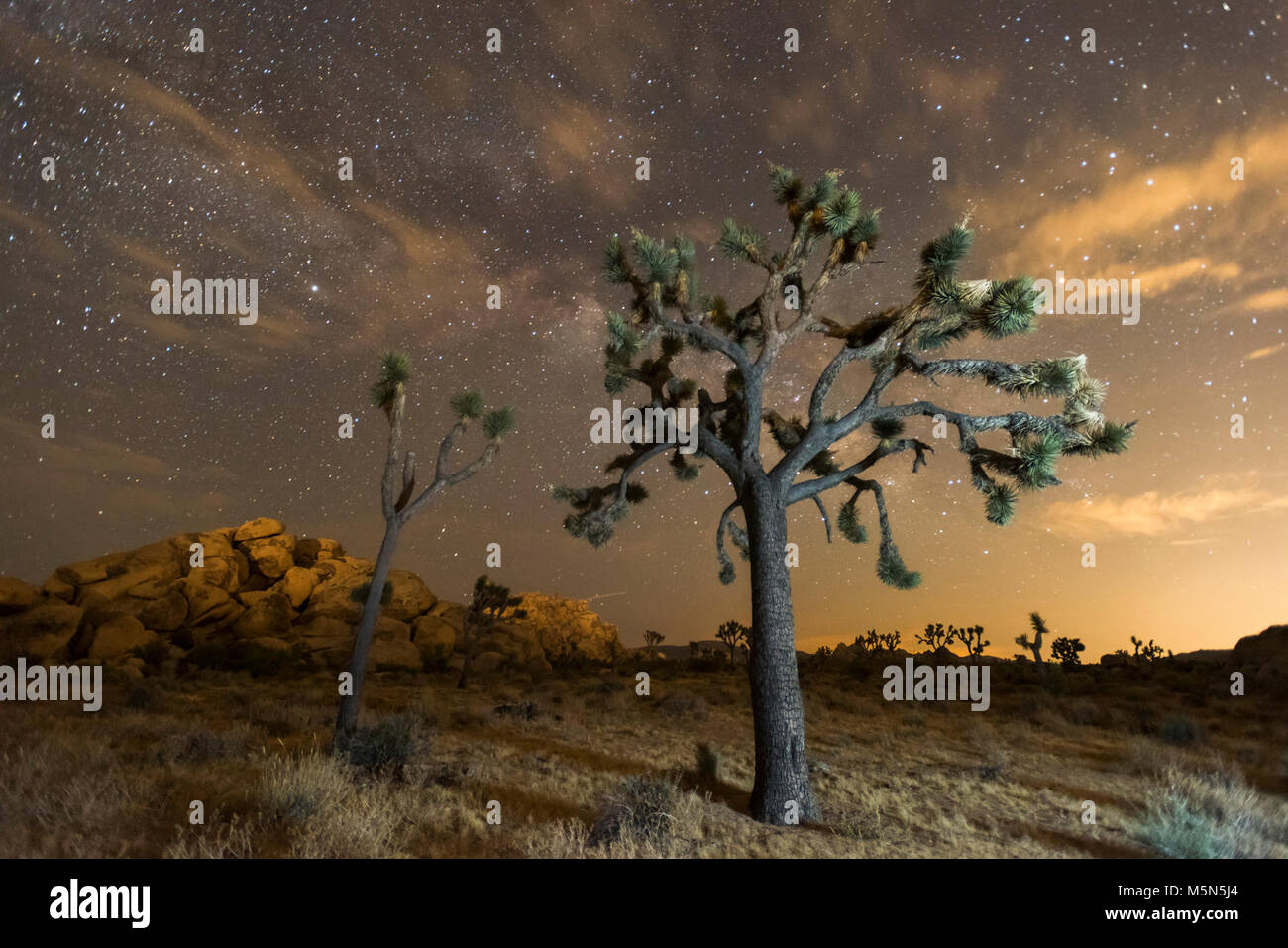 Cielo nocturno del Parque Nacional Joshua Tree . Foto de stock