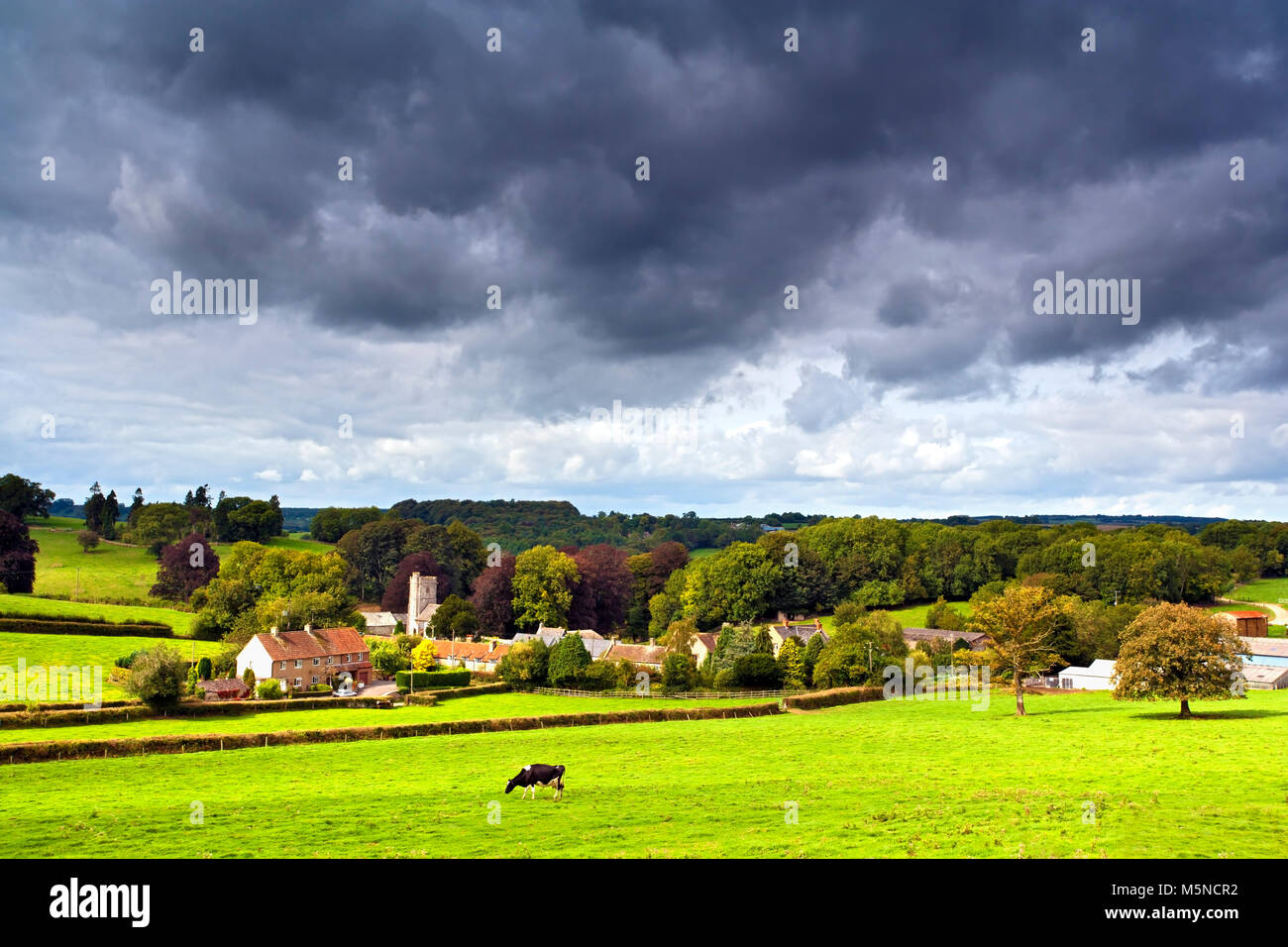 Un verano vista del pintoresco pueblo de Whitestaunton rural en Somerset, Inglaterra. Foto de stock