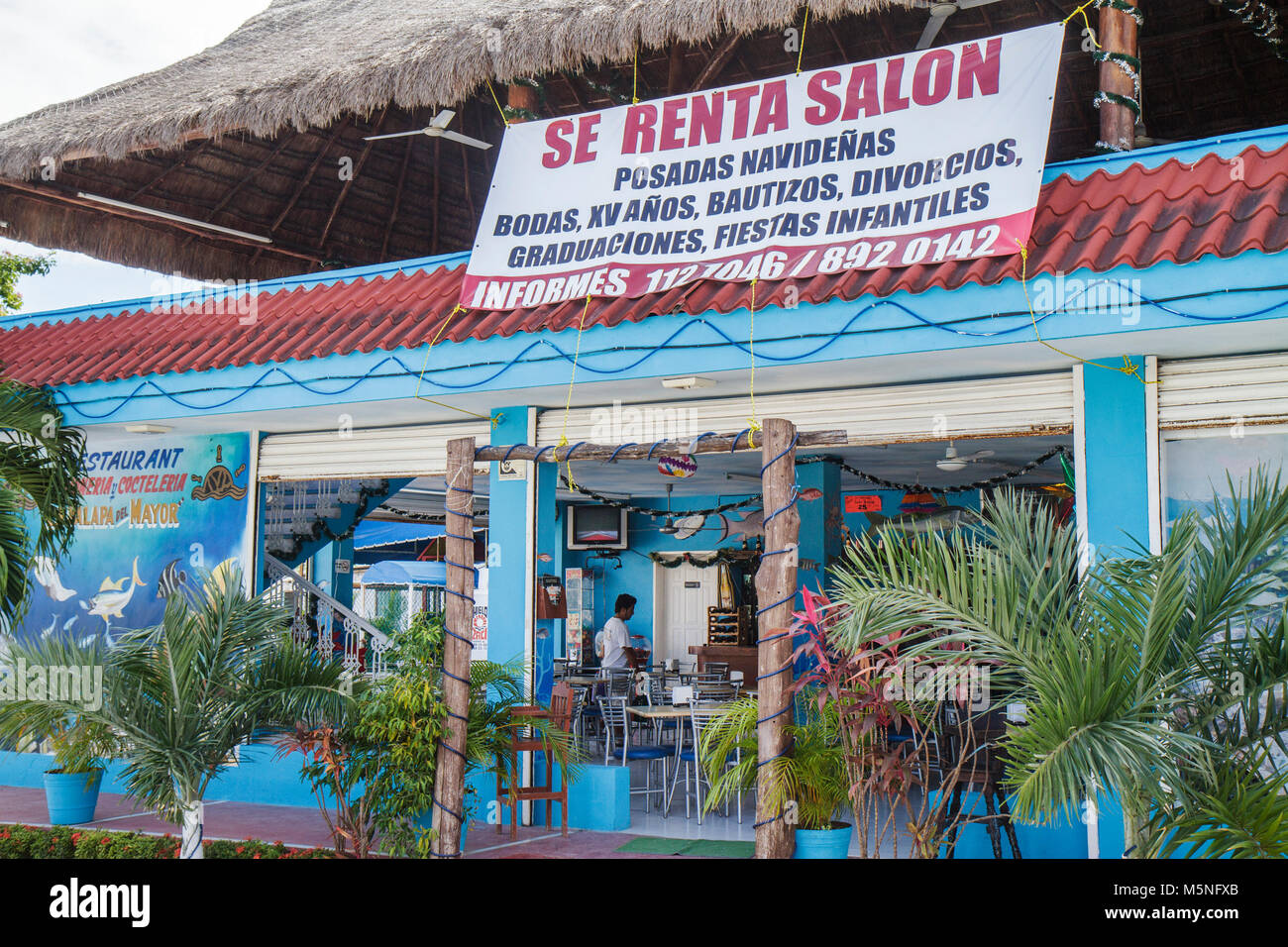 Cancún México, mexicano, península de Yucatán, Quintana Roo, Avenida