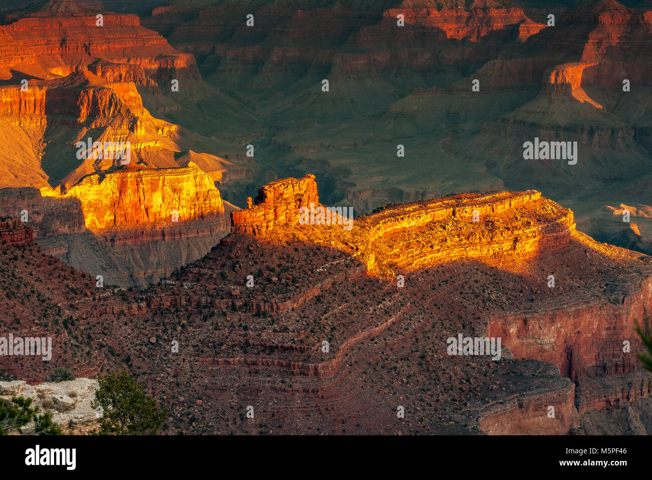 Amanecer en el Gran Cañón,el sol naciente selecciona y resalta interesantes formaciones rocosas en el vasto espacio del Borde Sur del Cañón, Arizona Foto de stock