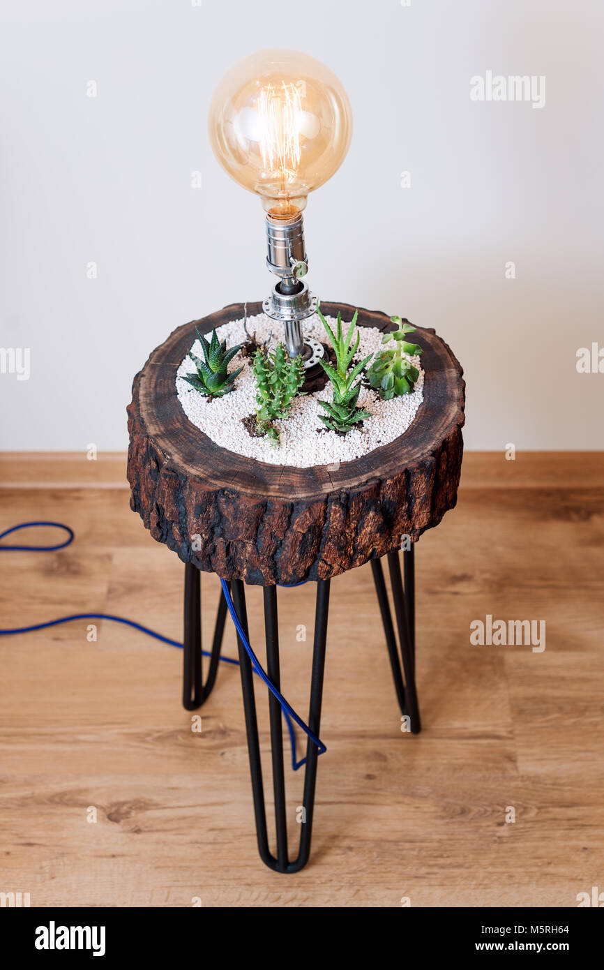 Vintage y lámparas de mesa Iluminación interior creativo para casa moderna  decoración con plantas suculentas Fotografía de stock - Alamy