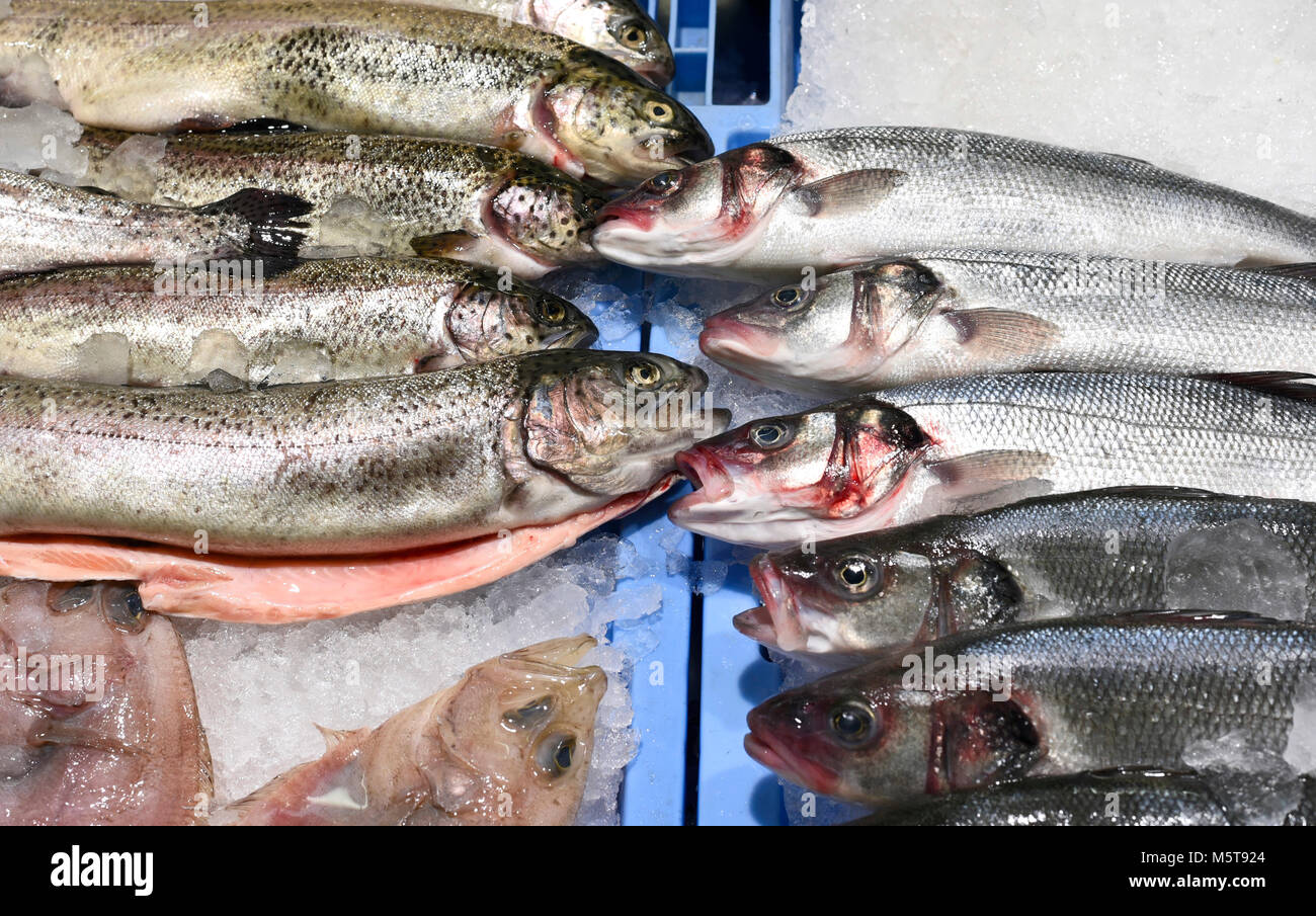 Fresca, pescado crudo en un puesto en el mercado de pescado. Trucha fresca o de salmón y truchas de lobo de mar, primer plano. Foto de stock