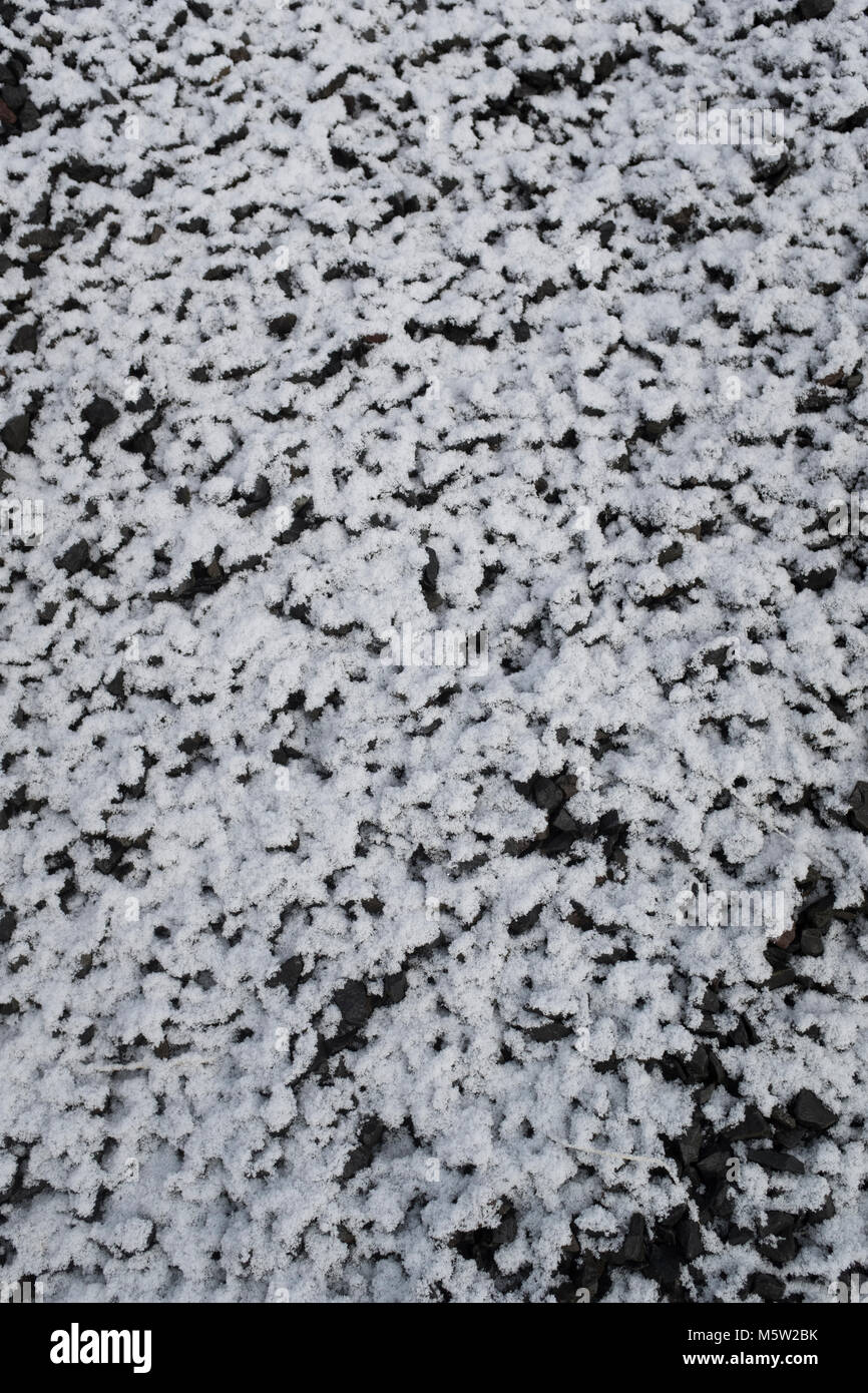 La nieve sobre la tierra - 60% blanca, el 40% de negros. Fondo de textura media sin adición de color Foto de stock