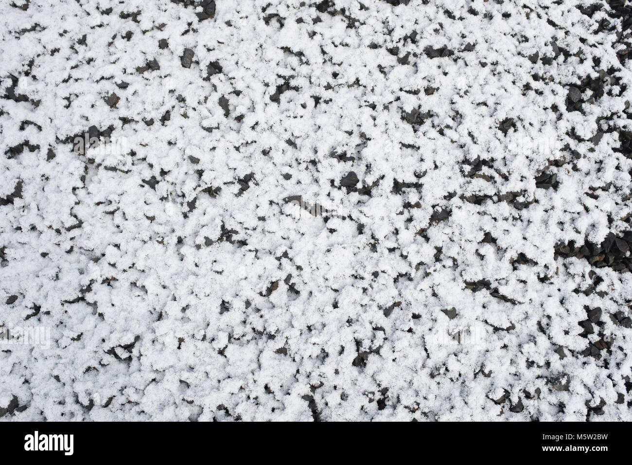 La nieve sobre la Tierra - el 70% de blancos, 30% de negros. Fondo de textura media sin adición de color Foto de stock