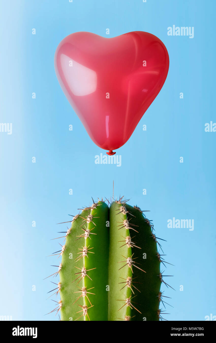 Globo de corazón flotando sobre cactus spike mostrando la fragilidad del amor Foto de stock