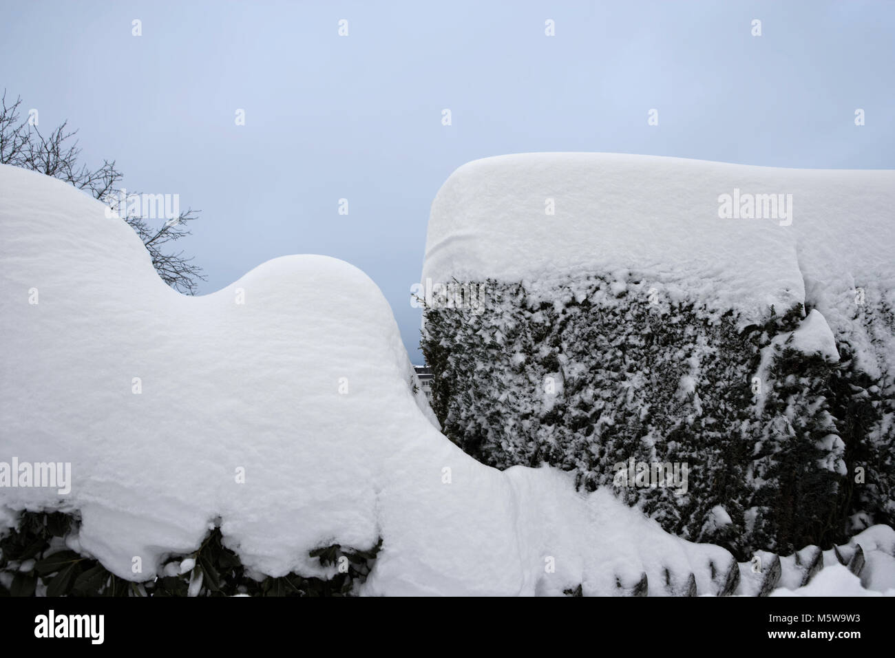 Invierno en Meinerzhagen, Renania del Norte-Westfalia, Alemania, Europa Foto de stock