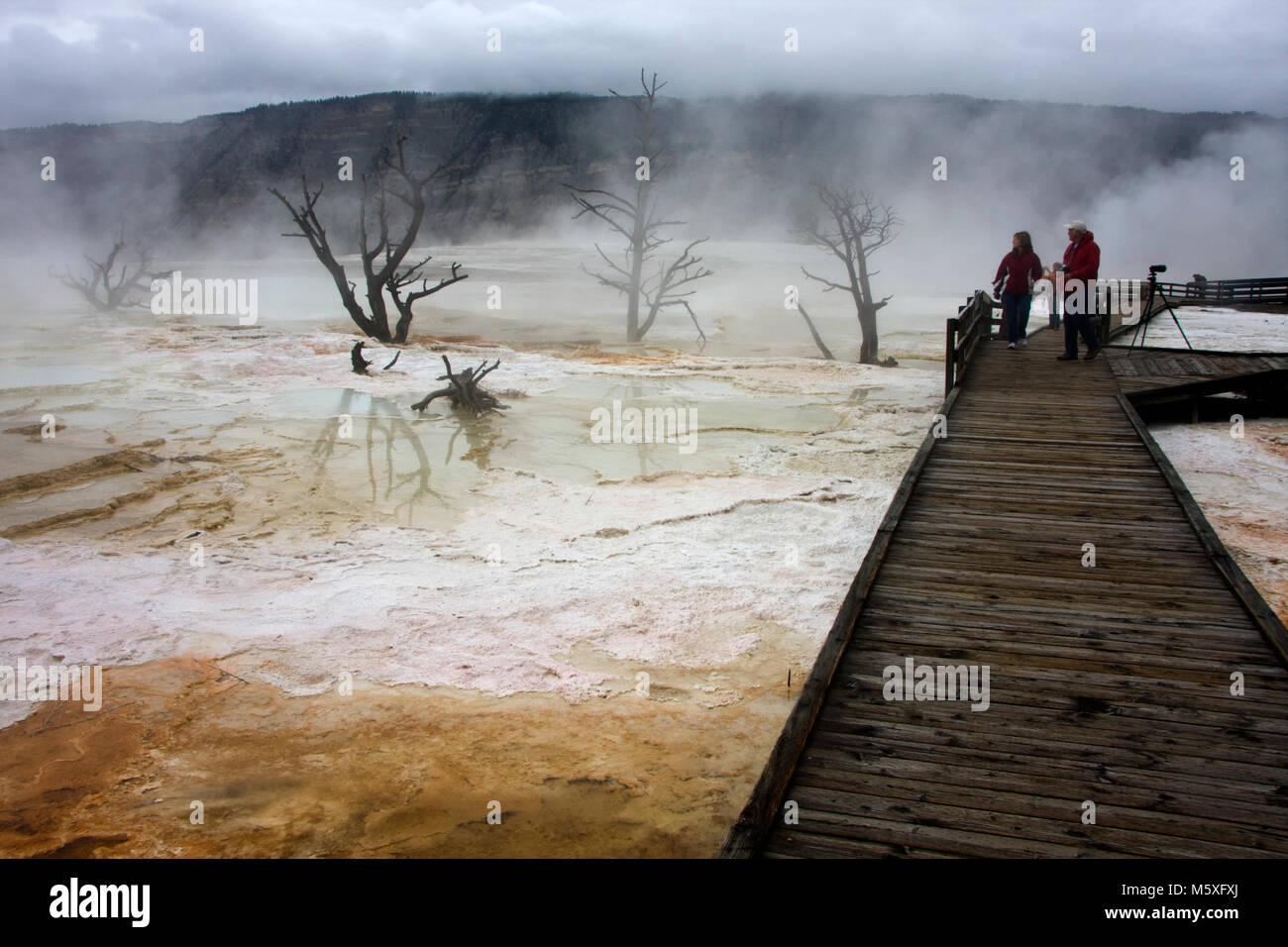 Muelle de Canarias, Mammoth Hot Springs, el Parque Nacional de Yellowstone, en EE.UU. Foto de stock