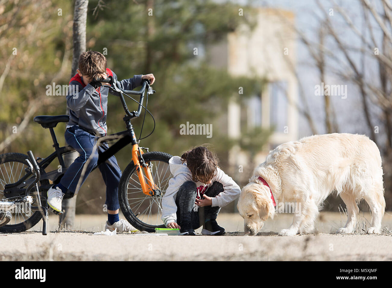 Dos niños disfrutando de un picnic con su perro. Disparo horizontal con luz natural Foto de stock