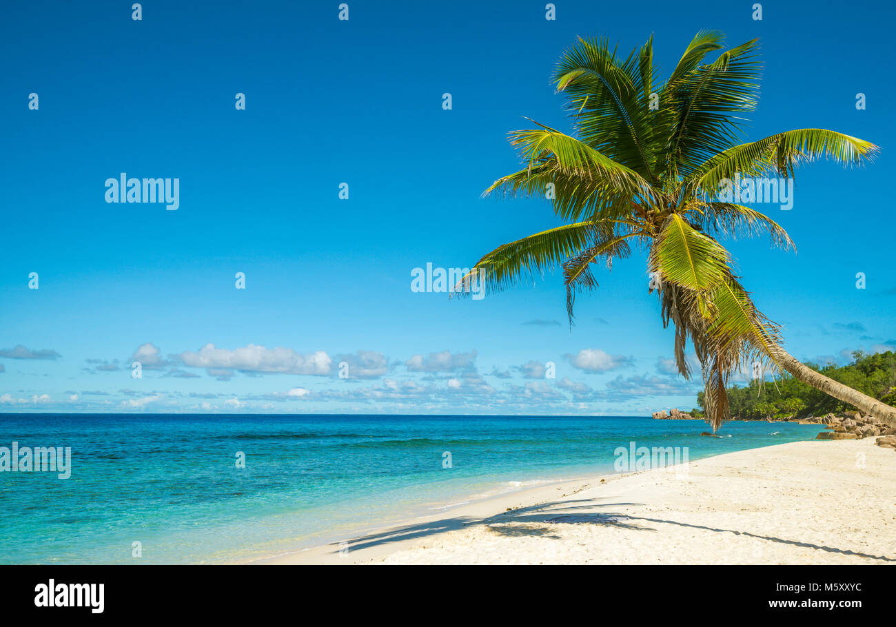 La playa de la isla tropical. Fondo de vacaciones perfecta. Foto de stock