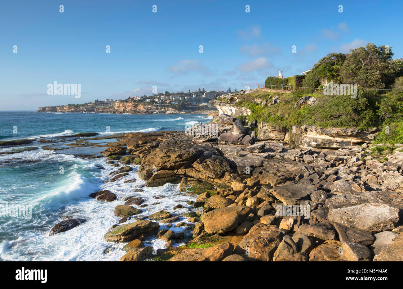 Costa de Bondi a Bronte caminar, Sydney, New South Wales, Australia Foto de stock