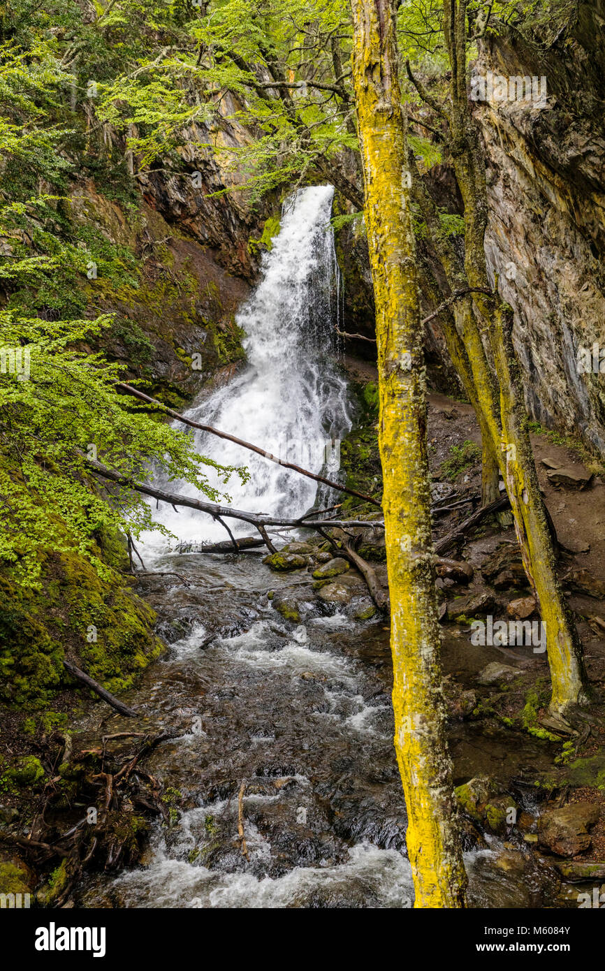 Sendero a la Cascada Velo de la Novia; la ruta de acceso a la cascada Velo de la Novia; Ushuaia, Argentina Foto de stock