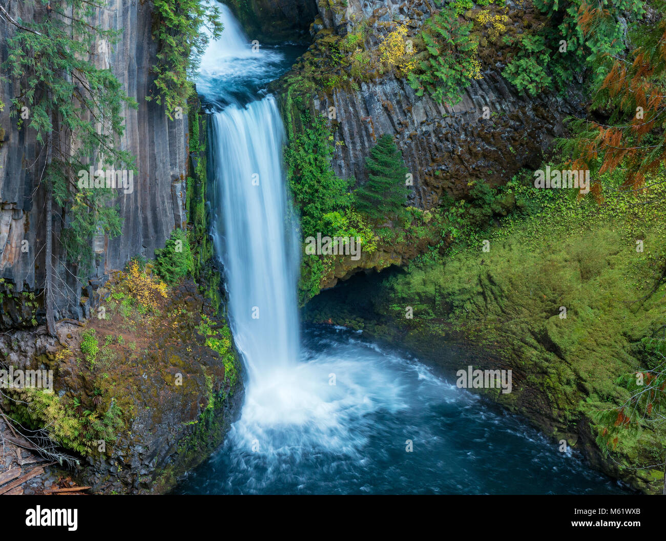 Toketee Falls, al norte del río Umpqua, Umpqua National Forest, el Condado de Douglas, Oregón Foto de stock