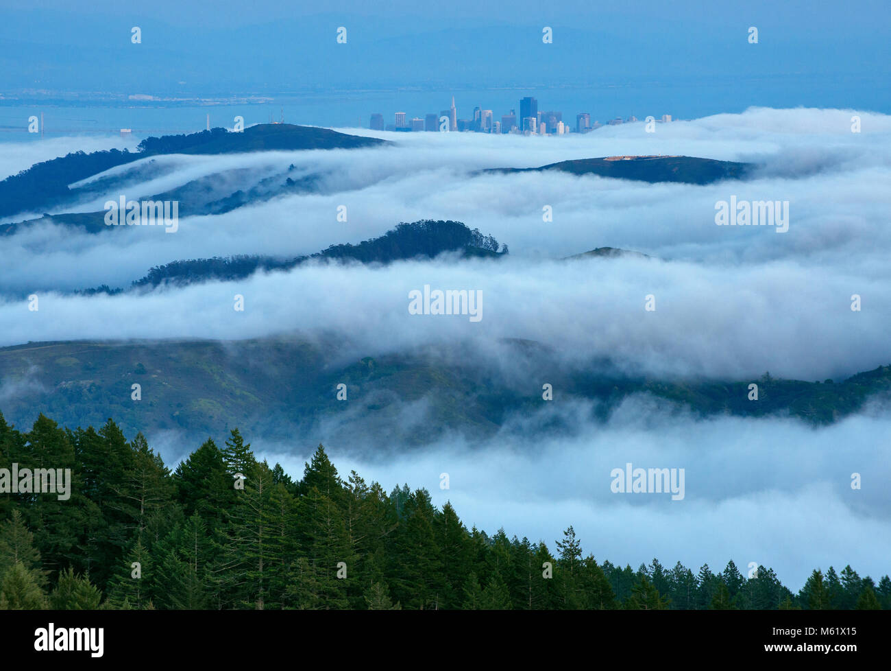 Niebla costera, el condado de Marin Headlands, GGNRA, San Francisco, California Foto de stock