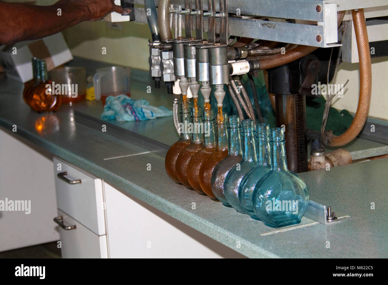 Liqueuer Chobolobo, fabricación, envasado del famoso Blue Curacao, Willemstad, Curazao, Antillas Holandesas, el Caribe Foto de stock