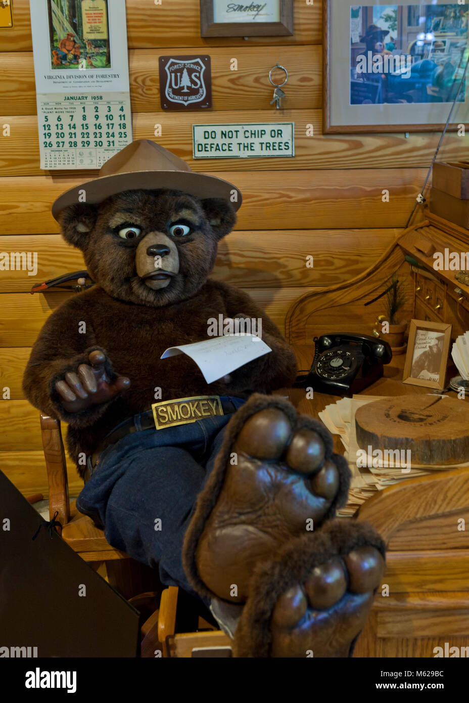 El oso Smokey animatronic sentado en la oficina en el cuartel general del Servicio Forestal de Estados Unidos, Washington, DC, EE.UU. Foto de stock