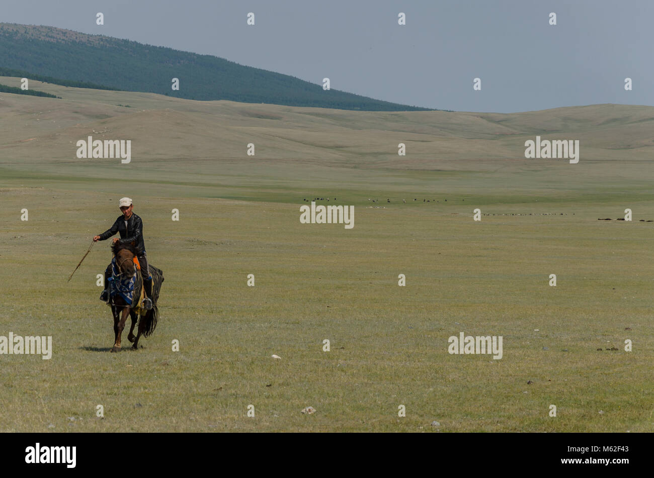 Horsebacking en la taiga, provincia Hovsgol, Mongolia Foto de stock