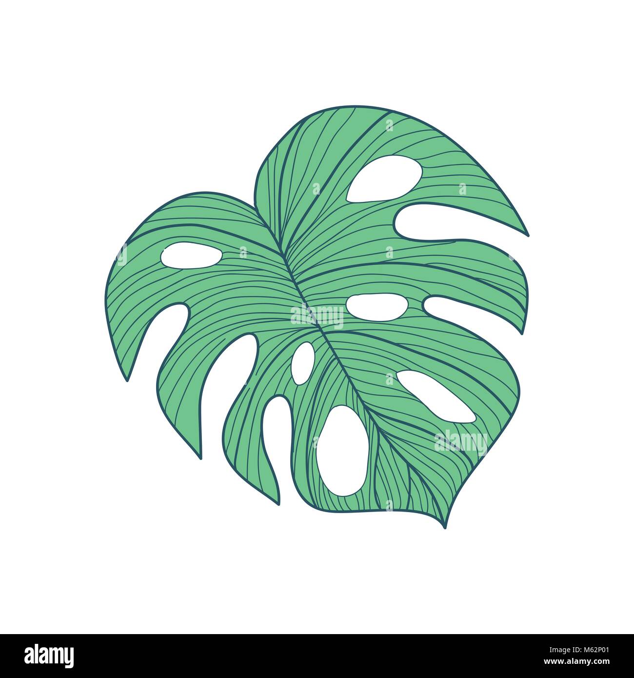 Gran cordiforme hojas tropicales dibujadas a mano ilustración Ilustración del Vector