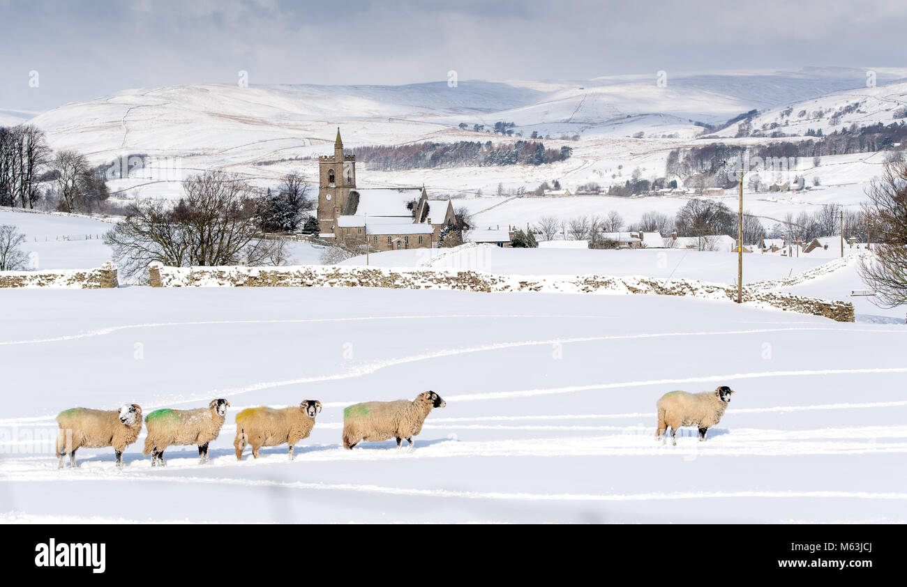 Wensleydale, North Yorkshire, Reino Unido. 28 Feb, 2018. Iglesia de St Margarets Hawes, North Yorkshire sobresalía del paisaje blanco y ovejas hambrientas. Crédito: Wayne Hutchinson/Alamy Live News Foto de stock