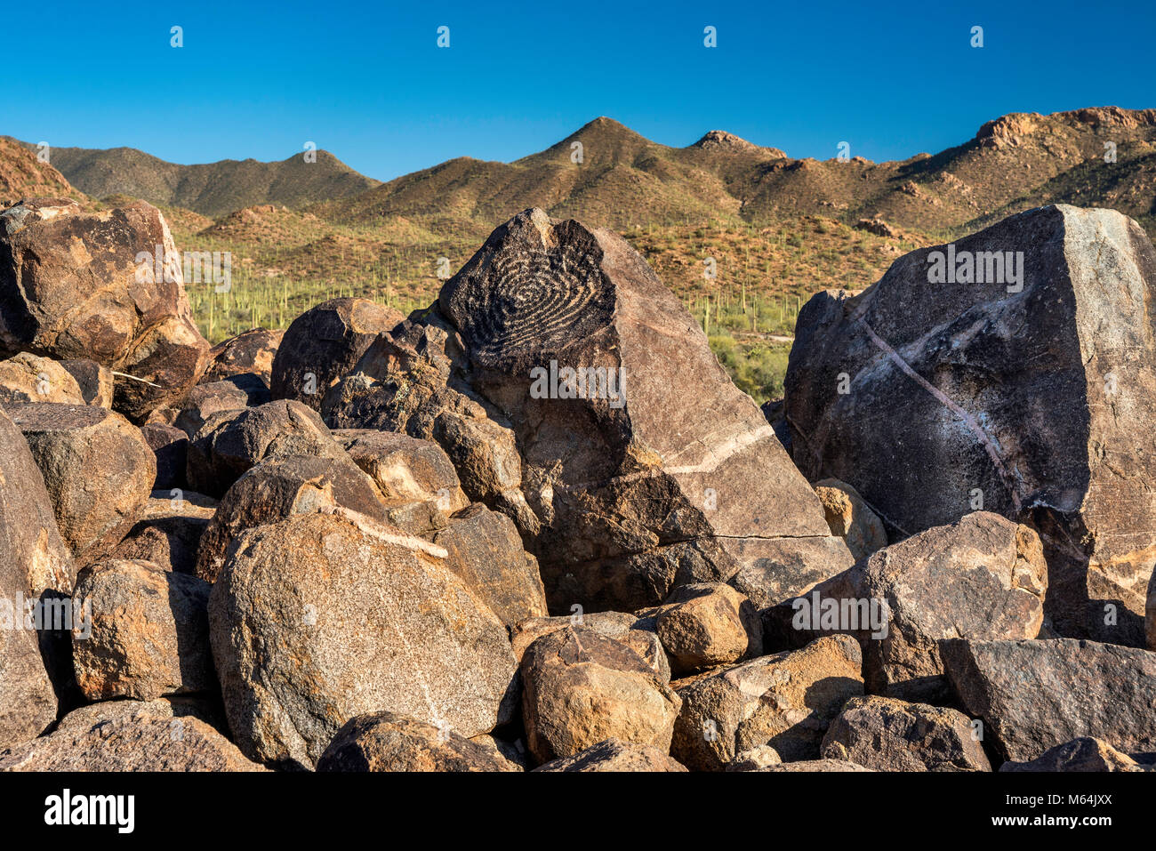 Petroglifos en Signal Hill, Scénic Bajada Loop Drive, Tucson Mountain District, el Parque Nacional de Saguaro, el Desierto de Sonora, Arizona, EE.UU. Foto de stock