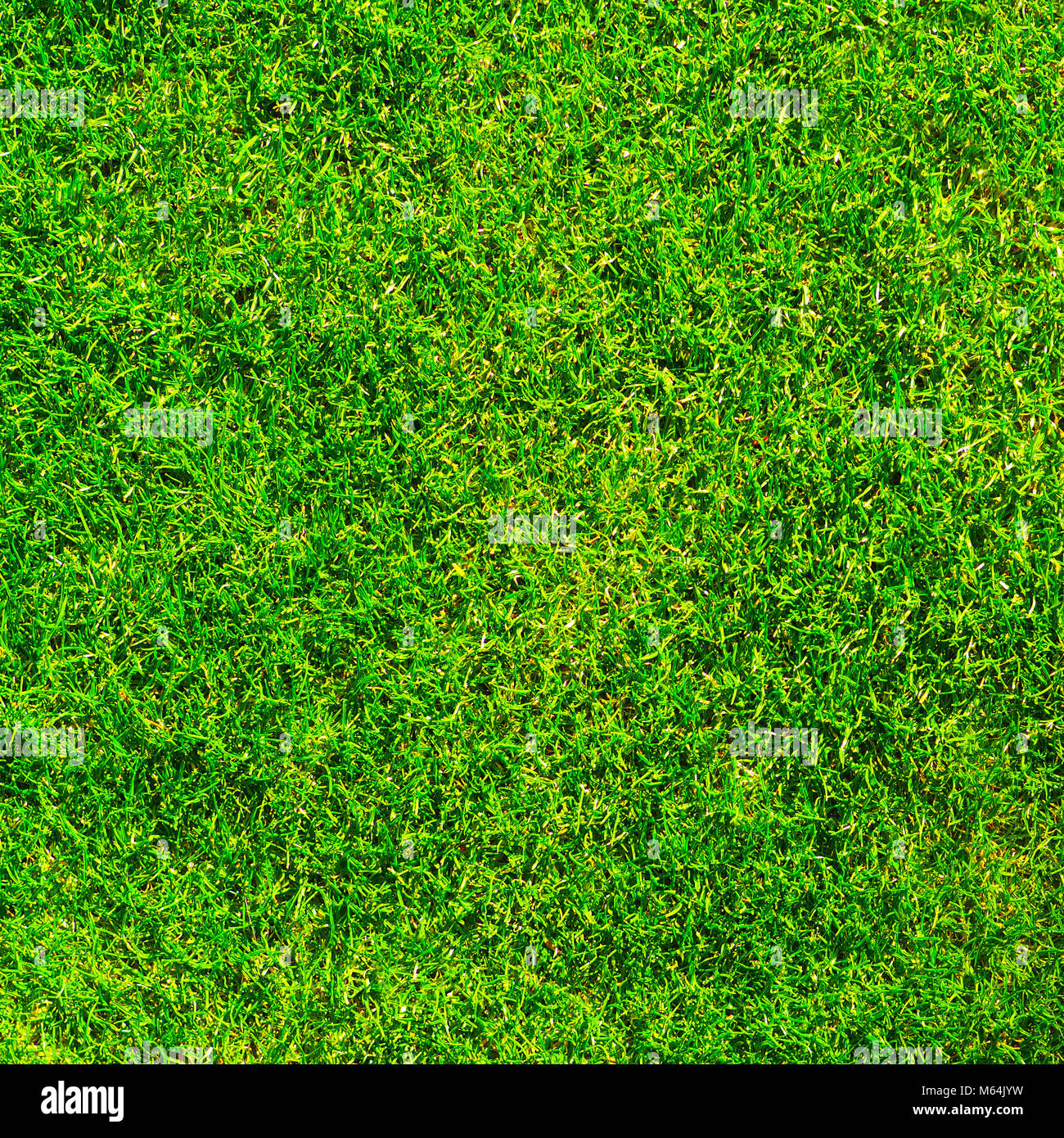 Cuidados exuberante césped verde. Primavera fresca sensación de poco