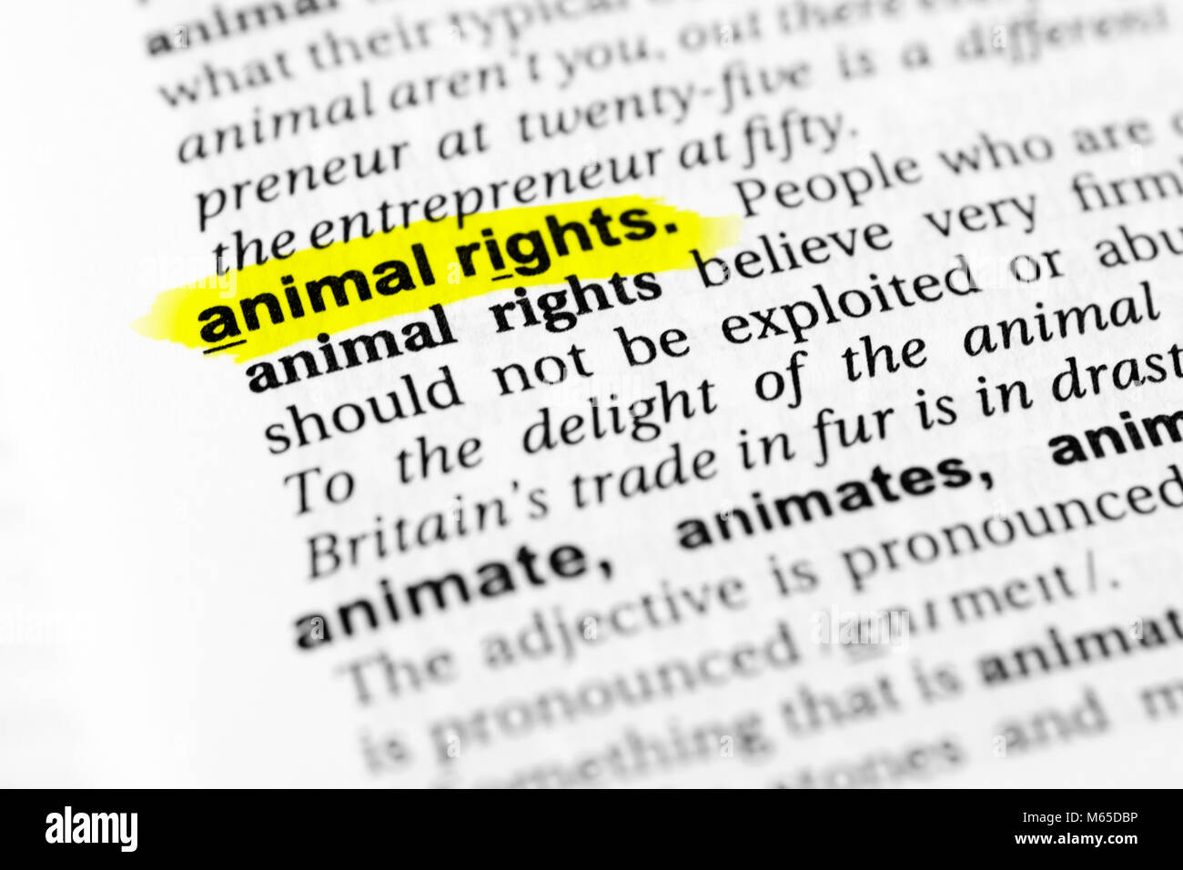 Destacó palabra inglesa "derechos animales" y su definición en el diccionario. Foto de stock